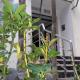 Horizon Garden Home, Casablanca - Photo 3