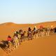 Sahara camel tours camp