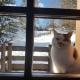 La Lince Lodge, Camporosso in Valcanale (foto 8)