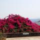 Sunset View Guest House, Piggs Peak (photo 2)