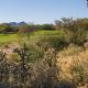 Greens at Ventana Canyon #13105 Tucson - Fotografie 6