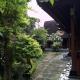 Madra Homestay Ubud - Photo 8
