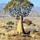 Namibs Valley Lodge, Gamsberg Pass (fotografie 3)