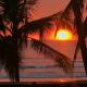 Gallina E Palo Beachfront Hotel