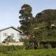 Pedro View Homestay, Nuwara Eliya - Fotografie 2