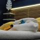 RHOMENJOY Suite Vatican, Rome - Photo 2