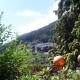 Apartments Morandell, Fulpmes (foto 7)