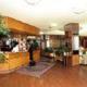 Park Hotel Galileo, Reggello (foto 10)