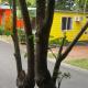 Palm Beach Caravan Park Sanctuary Point - Foto 3