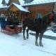 Kosmatska pusanka, Kosmach (Foto 4)
