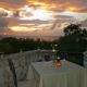 Mynt Retreat Bed & Breakfast, Montego Bay (zdjęcie 8)