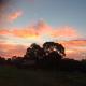 Abington Farm B & B, Heyfield (Foto 4)