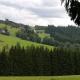 Schwarzwaldgasthaus Salenhof, Titisee-Neustadt - Foto 6