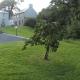 SunnySide-Cottage Ennistymon - Photo 10