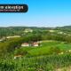 Eco Farm Milanovic, Despotovac (fotografie 9)