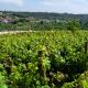 Quinta da Serrana, Ourém (fotografie 5)