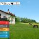 Eco Farm Milanovic, Despotovac