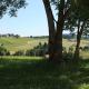 Ferien beim Baur, Bayersoien - Foto 9