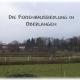 Holunder Hüsken, Oberlangen - Fotografie 10