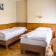 Hotel U Jezera, Velký Osek (foto 8)