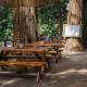 Silver City Mountain Resort, Sequoia (fotografie 9)