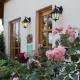 Detached holiday home in the Bruchttal, Bredenborn - Foto 10