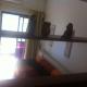 Bahia Flat, Salvador - Foto 7