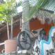 Casa Artista, Manzanillo (photo 6)