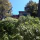 Villa Tregia, Tellaro (photo 9)