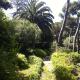 Villa Tregia, Tellaro (photo 7)