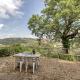 La villa della quercia, Seggiano (foto 4)