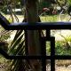 Cam Nam Homestay, Hoi An - Foto 7