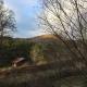 Rushing Stone Cottage, Jefferson (fotografie 8)
