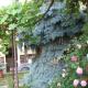 pension Kalik, Prague - Photo 1