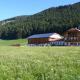 Appartamenti Stauderhof, Villabassa