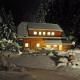 Chalet Styria Donnersbachwald - Foto 2