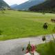 Luenerhof Neustift im Stubaital - Fotografie 6