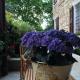 B&B civico 7, Vignola (Foto 7)
