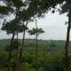 Coconutbeach Bungalows, Koh Rong (Foto 2)