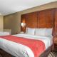 Comfort Suites Delavan - Lake Geneva Area, Delavan (zdjęcie 5)