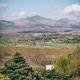 Ferlas Bed and Breakfast, Penrhyndeudreath (foto 7)