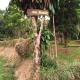 Villa Diantie, Bogor (photo 7)