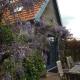 Vakantiewoning De Lotus, Hoevelaken (fotografie 9)