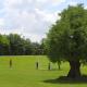 Vietnam Golf - Lake View Villas, Ho-Chi-Minh-Stadt (Foto 3)