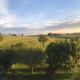 Allgäu Meadow Ranch, Hergatz - Photo 4