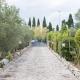 B&B Tenuta la Cornula, San Donato di Lecce (photo 7)
