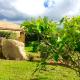 Clos Simoni, Фигари (фото 4)