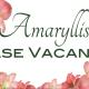 Amaryllis Case Vacanza, Il Romito (foto 4)