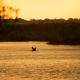 Xaro Lodge, Shakawe (foto 3)