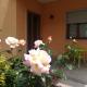 Villa Al Sole, Mestre (photo 8)